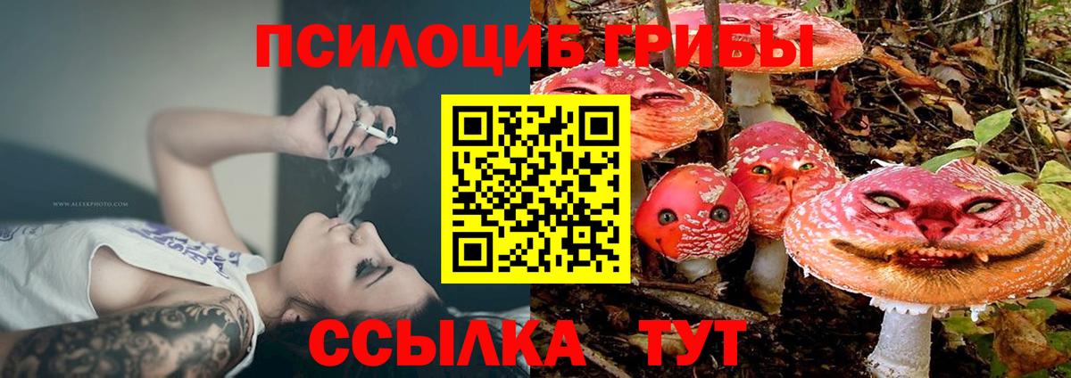 Псилоцибиновые грибы GOLDEN TEACHER Тула
