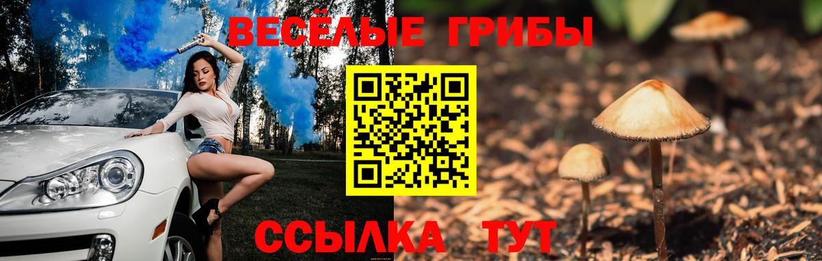 Галлюциногенные грибы MAGIC MUSHROOMS  Вход с VPN  Галлюциногенные грибы Magic Shrooms  Тула 